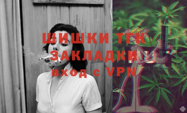 ГАЛЛЮЦИНОГЕННЫЕ ГРИБЫ Горно-Алтайск